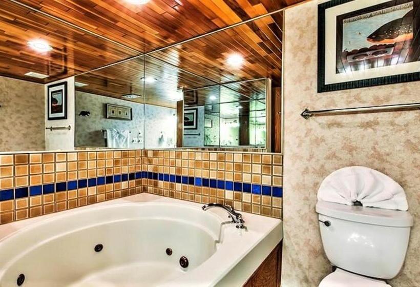 منتجع The Tahoe Beach & Ski Club Owners Association