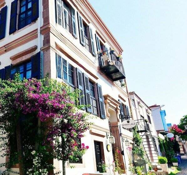 簡易ホテル Siyah Lale Cunda 1841