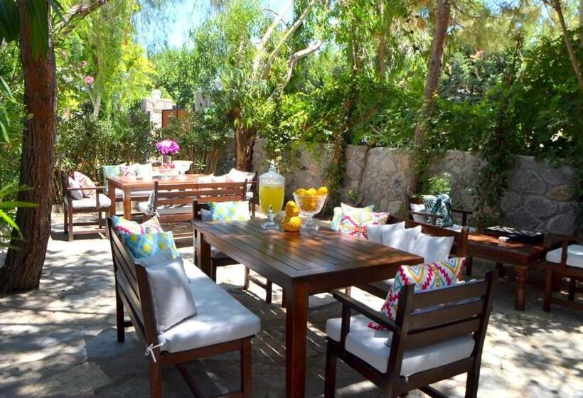 Lemon Garden Hotel Turkbuku