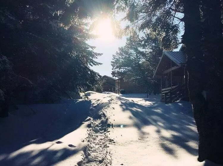 Hotelli Uludag Orman Koskleri