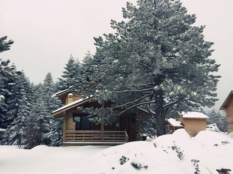 בית מלון כפרי Uludag Orman Koskleri