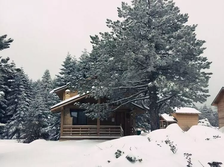 Hotelli Uludag Orman Koskleri