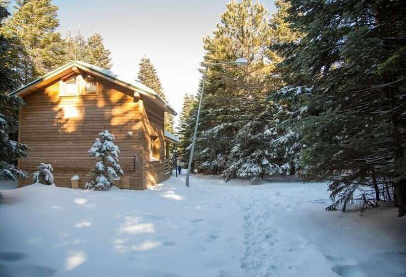 בית מלון כפרי Uludag Orman Koskleri