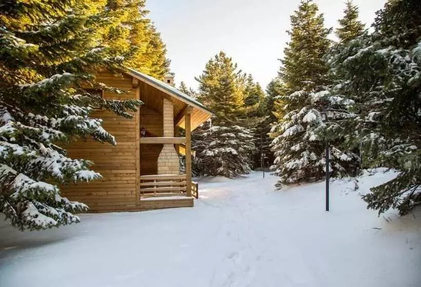 Hotelli Uludag Orman Koskleri