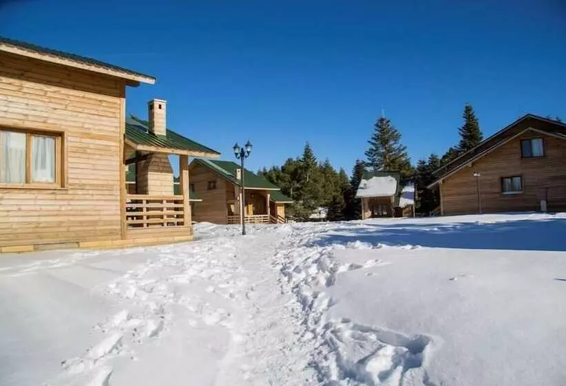 Hotelli Uludag Orman Koskleri