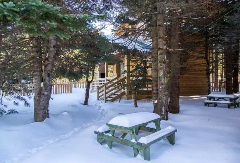 Hotelli Uludag Orman Koskleri