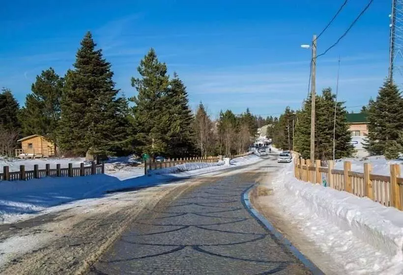 Hotelli Uludag Orman Koskleri