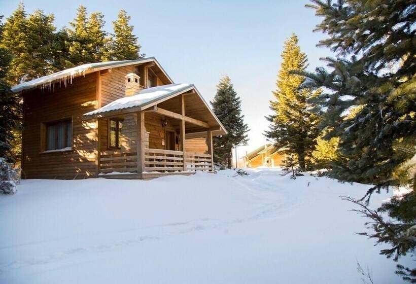 בית מלון כפרי Uludag Orman Koskleri