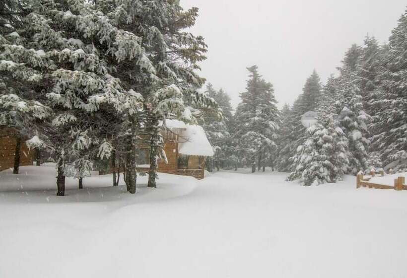 בית מלון כפרי Uludag Orman Koskleri