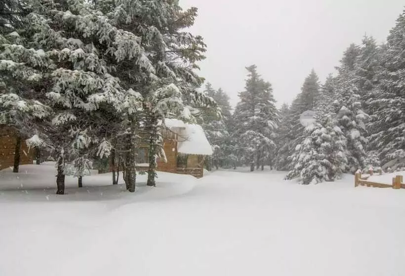 Hotelli Uludag Orman Koskleri