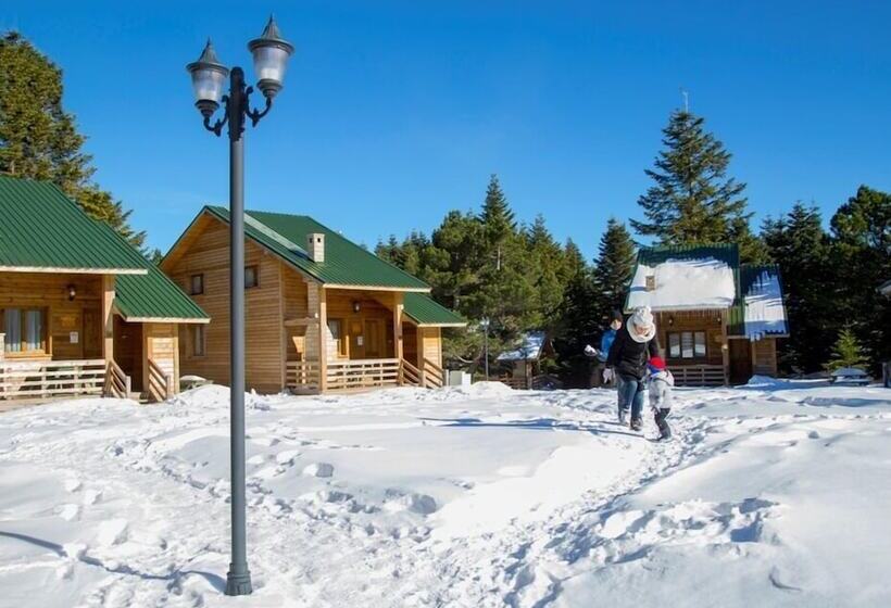 בית מלון כפרי Uludag Orman Koskleri