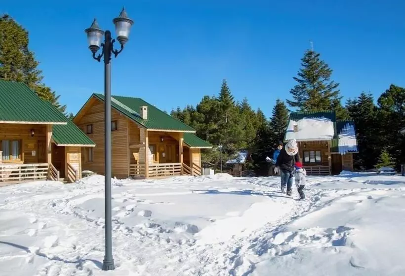 Hotelli Uludag Orman Koskleri