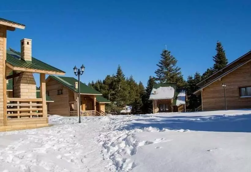 Hotelli Uludag Orman Koskleri