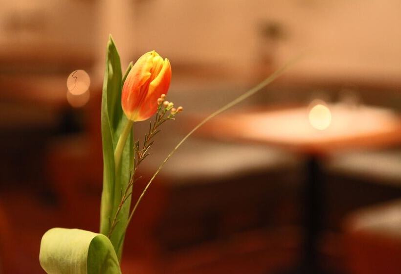 פנסיון Penzion & Wellness Zoborska