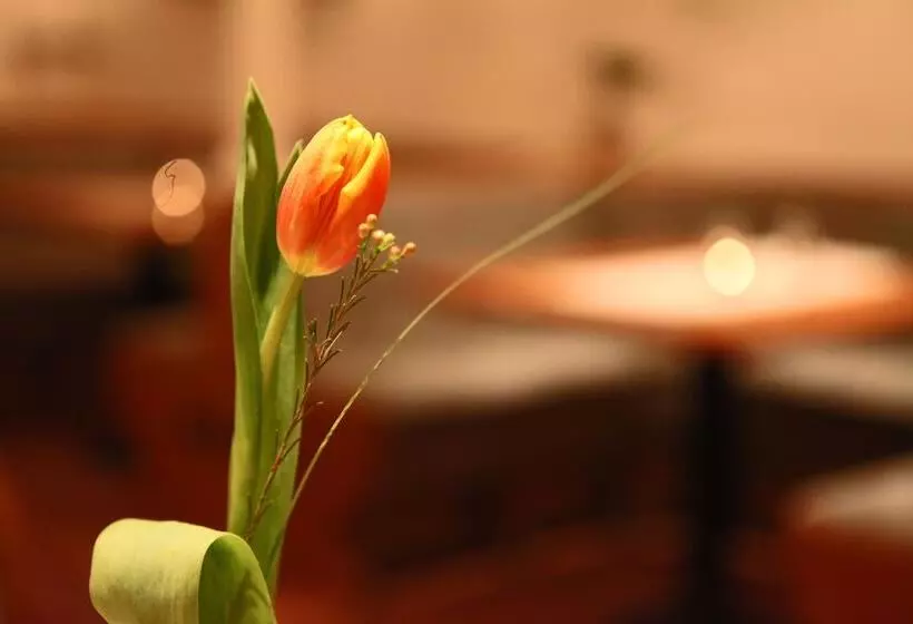 ペンション Penzion & Wellness Zoborska