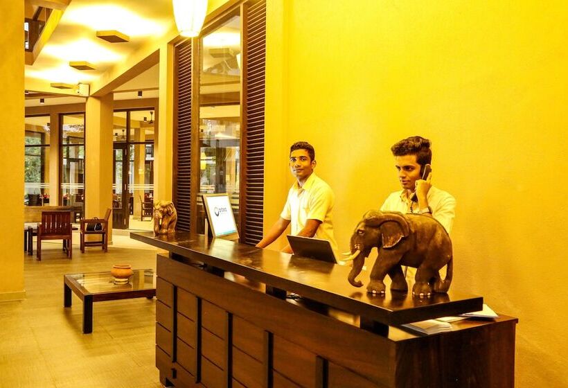 בית מלון כפרי Oak Ray Wild Yala