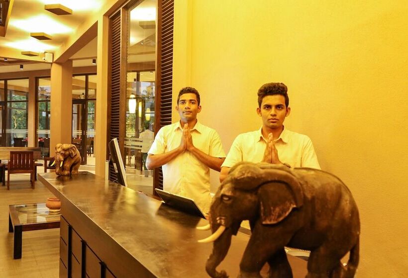 בית מלון כפרי Oak Ray Wild Yala