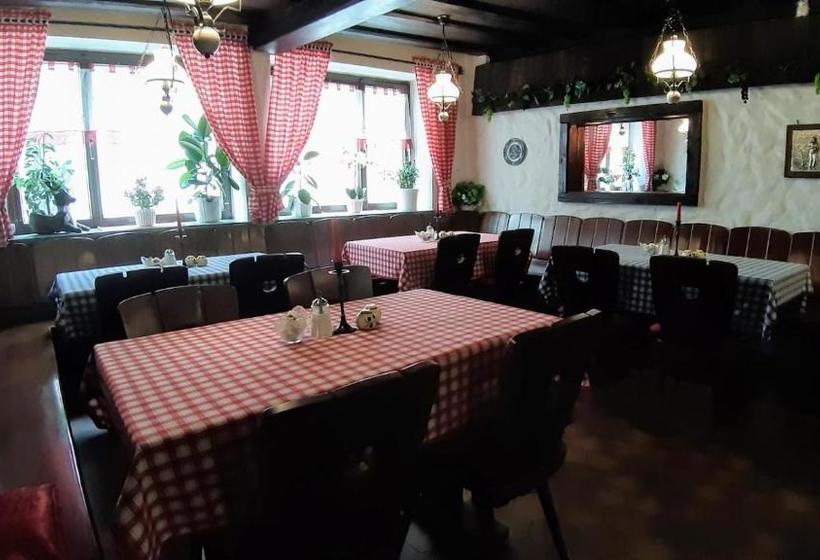 Luisengarten Pension Garni