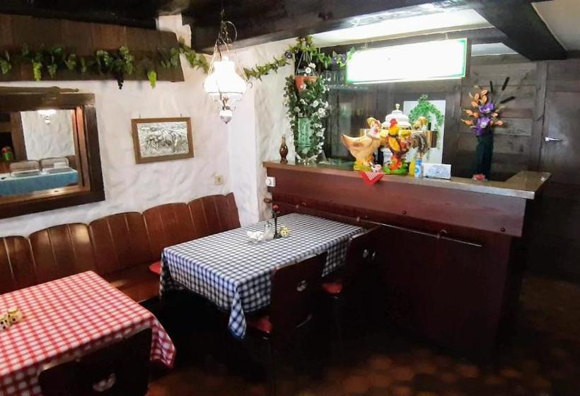 Luisengarten Pension Garni