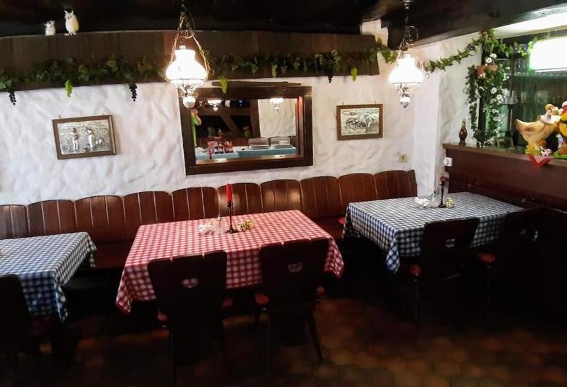 Luisengarten Pension Garni