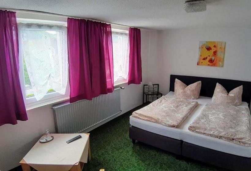 Luisengarten Pension Garni