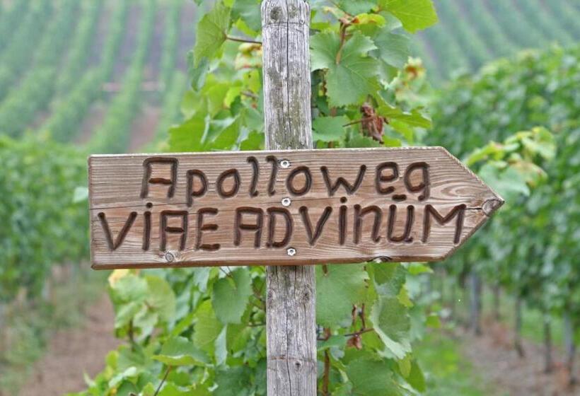 פנסיון Beim Schneemann