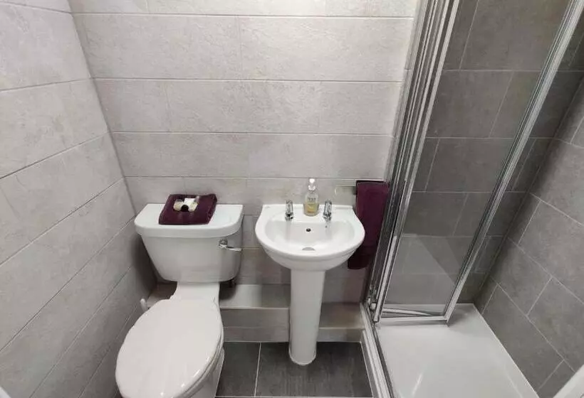 ペンション Llwynygog Guest House