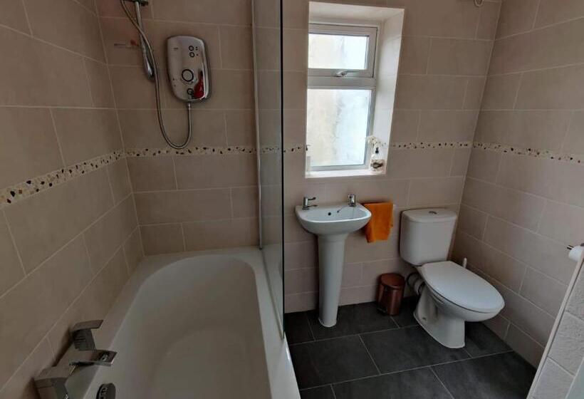 پانسیون Llwynygog Guest House