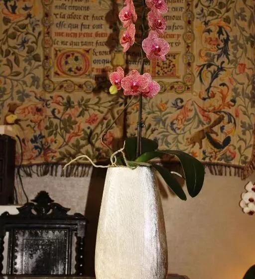 ペンション Residencial Imperial