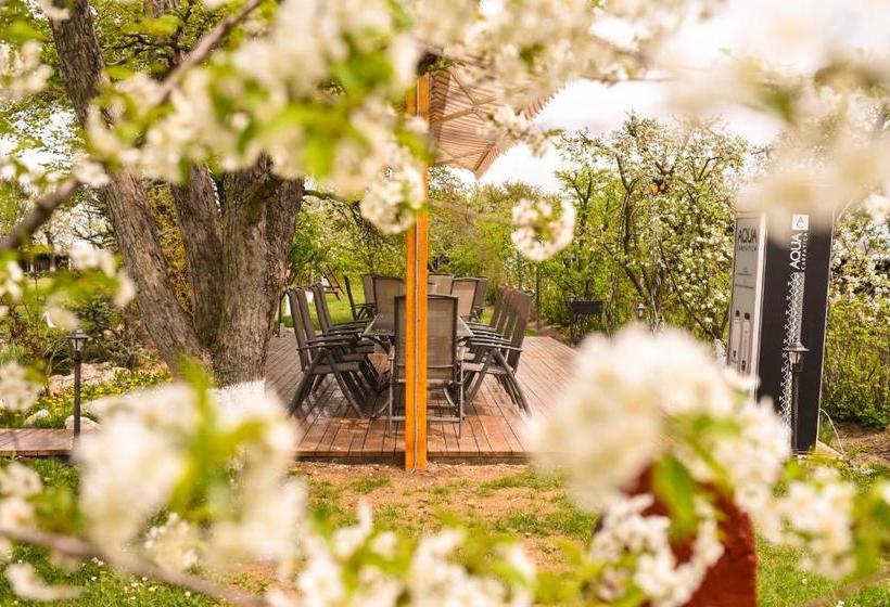 بنسيون Stupina