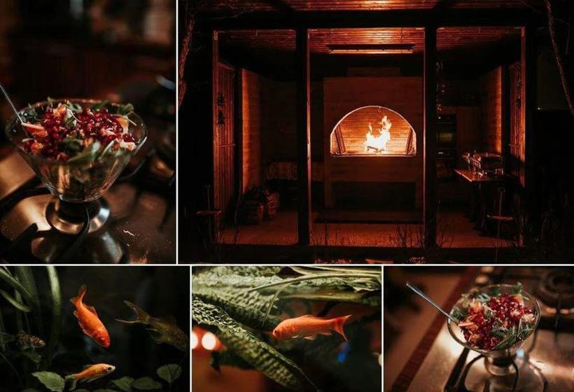 بنسيون Stupina