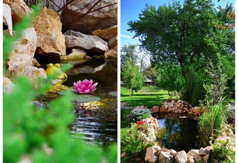 بنسيون Stupina