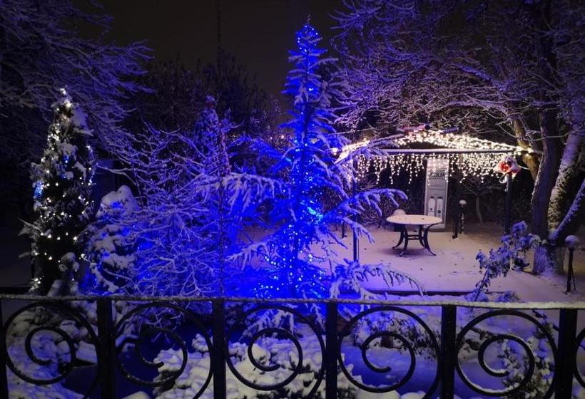 بنسيون Stupina