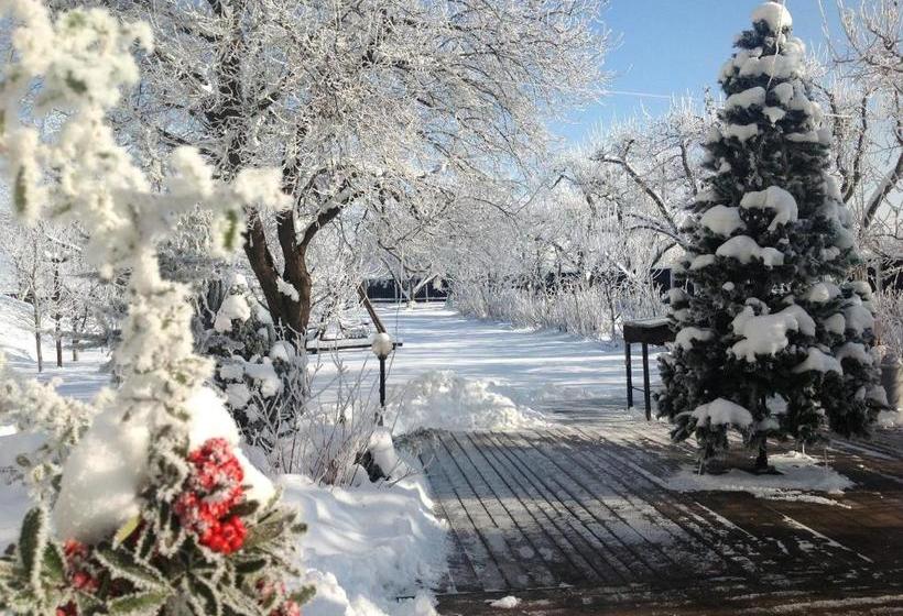 بنسيون Stupina