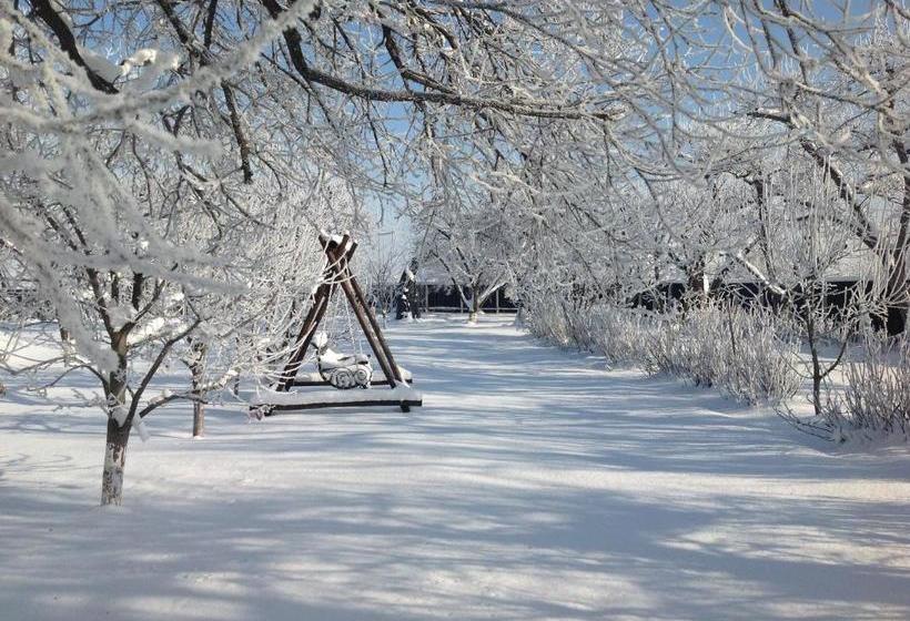 بنسيون Stupina