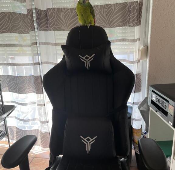 Pension Jäger Der Geheimtipp Am Europa Park