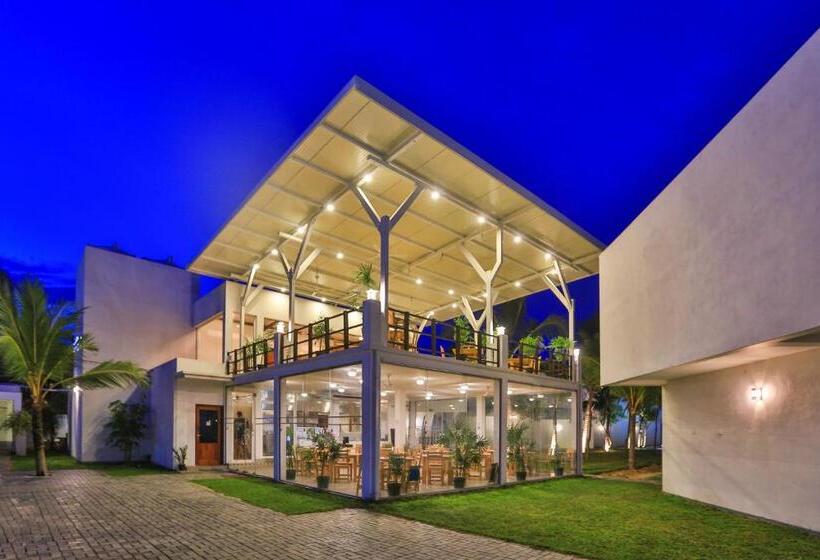 酒店 Arugambay Roccos