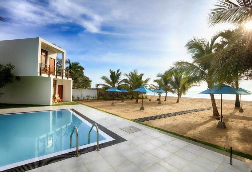 酒店 Arugambay Roccos