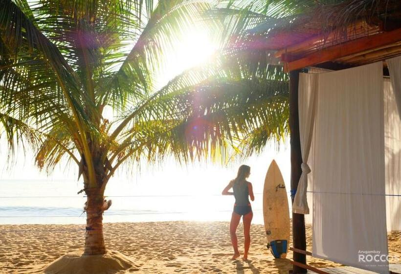 酒店 Arugambay Roccos