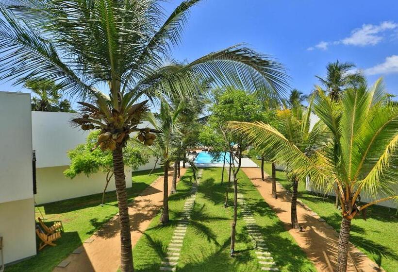 酒店 Arugambay Roccos