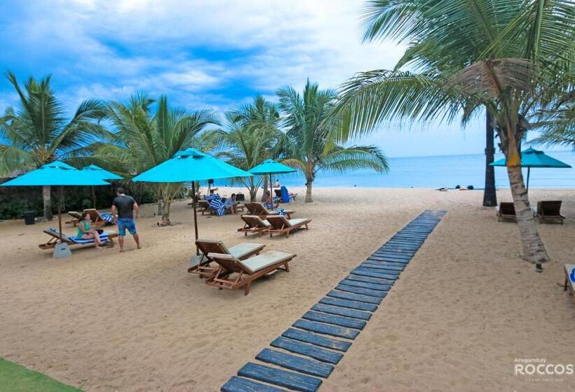 酒店 Arugambay Roccos