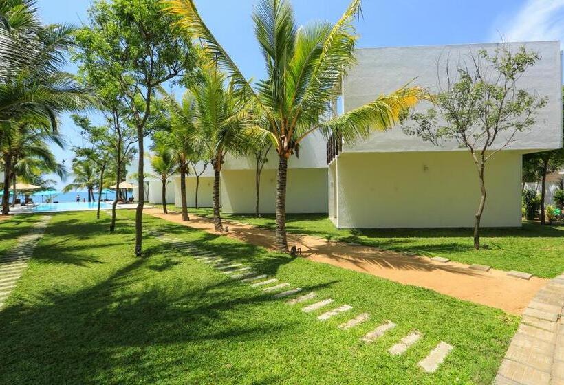 酒店 Arugambay Roccos