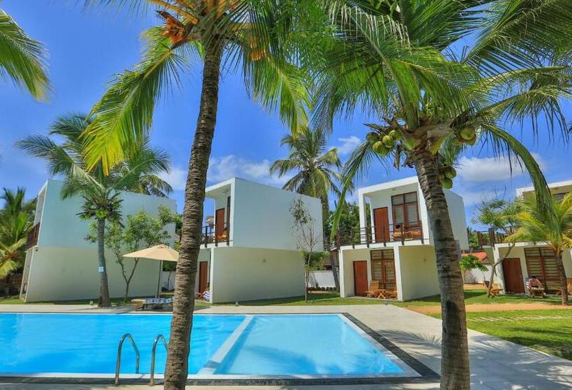 酒店 Arugambay Roccos