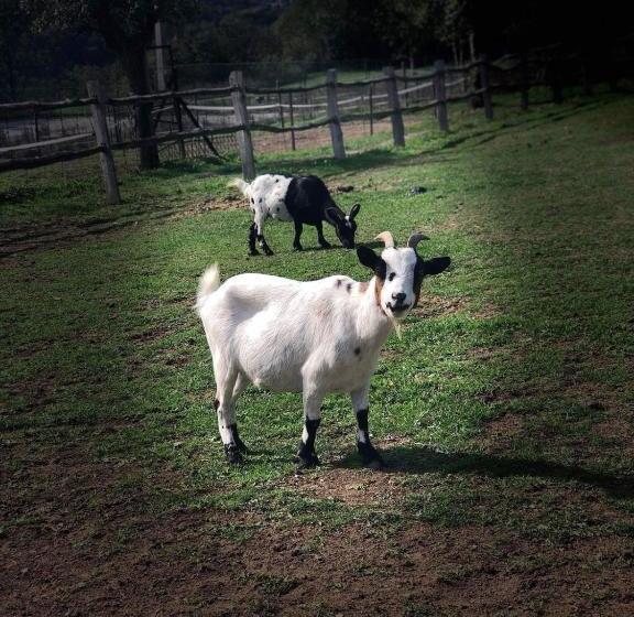 هتل La Ferme De Durbuy