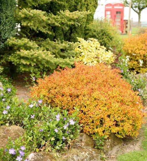 Pensione Capernwray House