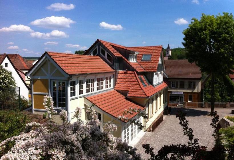 펜션 Gasthaus Loewenthor & Hotel Hahn