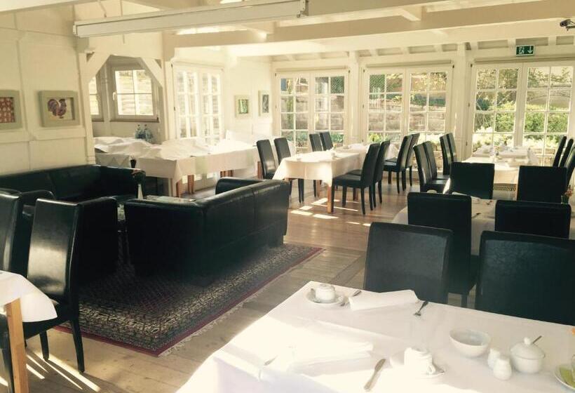 펜션 Gasthaus Loewenthor & Hotel Hahn