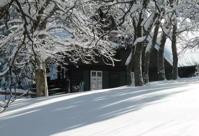 Majatalo Gästehaus Schmid Lopez