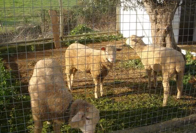 ペンション Monte Da Coelha Al