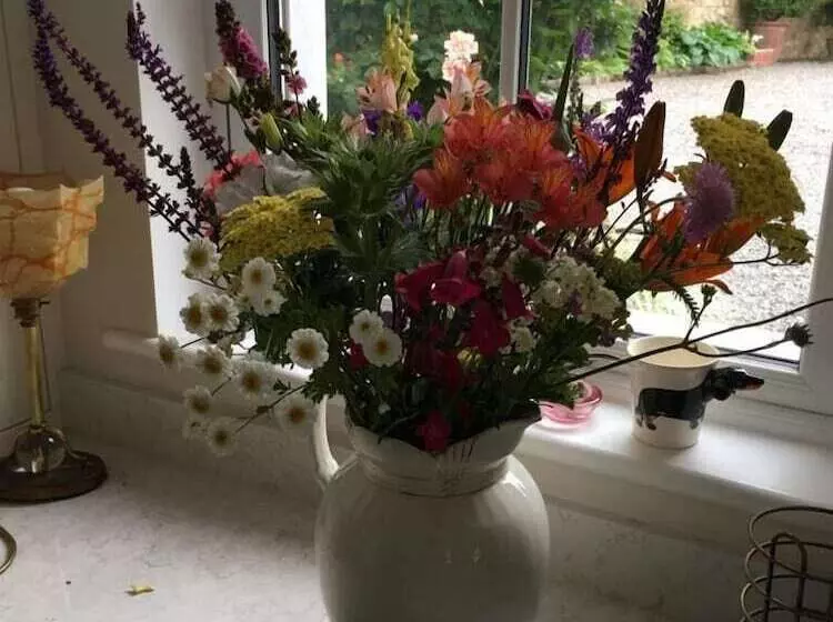 ペンション Red Setter Town House B&b